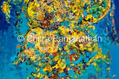 Joyful musings